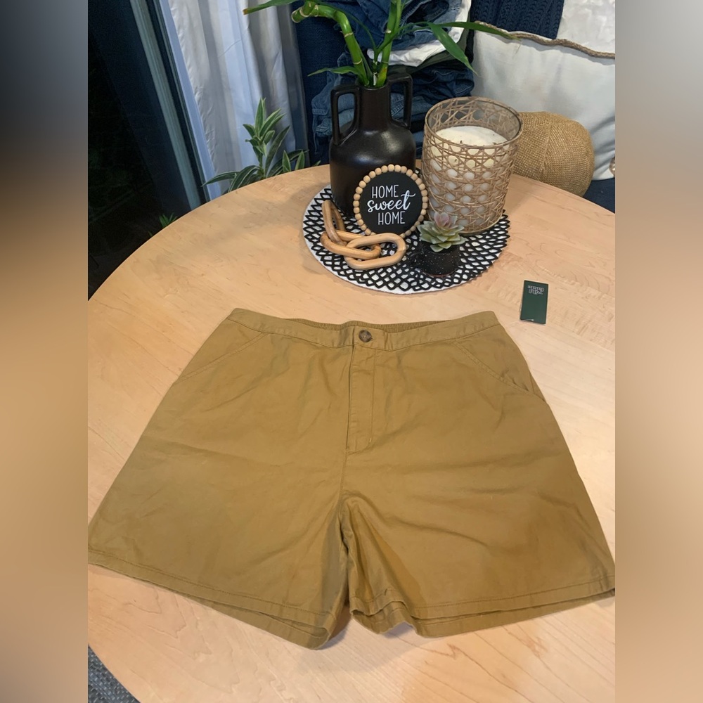 NWT Wild Fable chino shorts with elastic in back size Large.